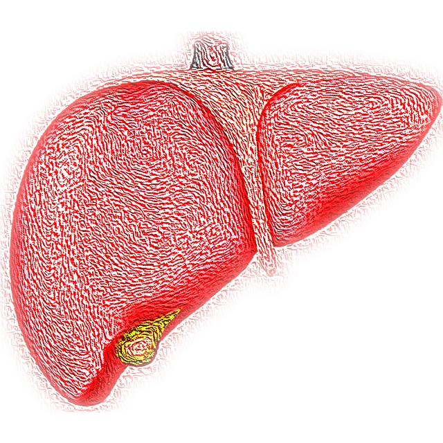 supplements for fatty liver